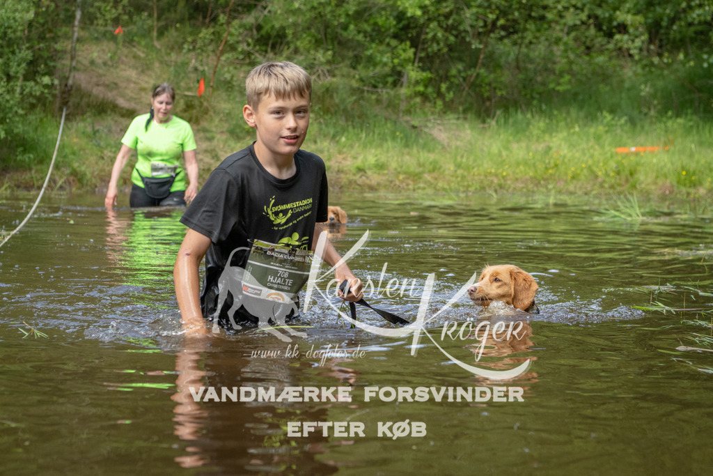1244DKK993434 | kk-dogfotos