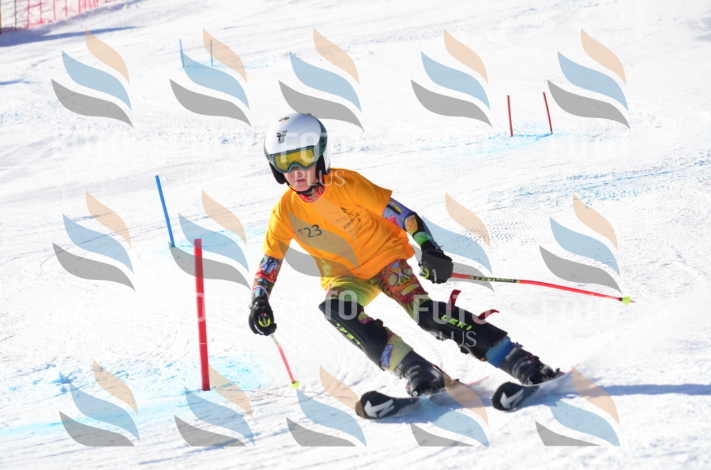 C6376 | holidayphoto