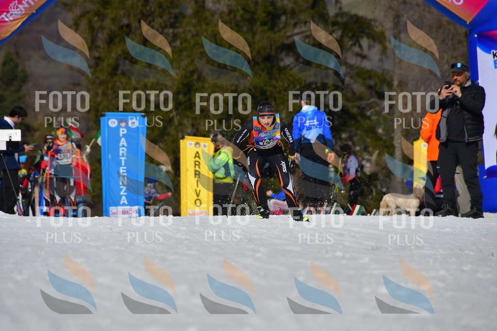 _DSC9988 | holidayphoto