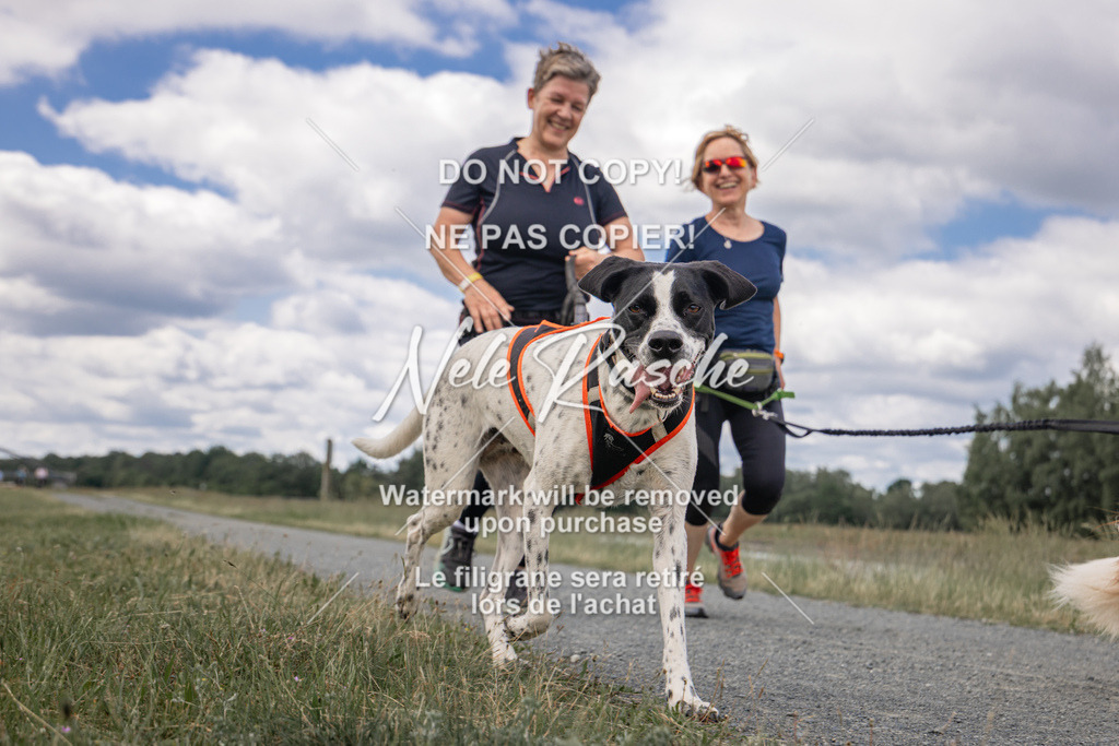 nelerasche_BuHu2026_SaCC1100-1200_158 | nelerasche