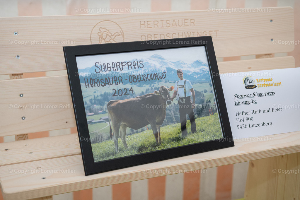 Schwingen -  Herisauer Buebeschwinget 2024 | Herisau, 1.6.24, Schwingen - Herisauer Buebeschwinget.