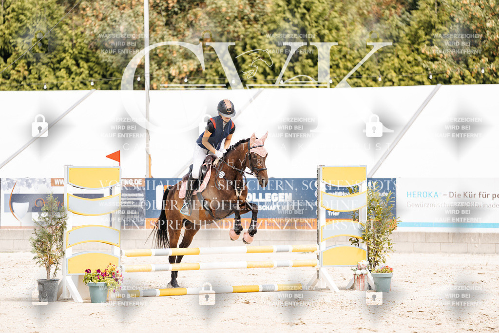 CK906688 | Turnierfotografie Pferdefotografie Trier Rheinland-Pfalz Pferdesport Reitsport Tierfotografie Sportfotografie Pferdevideo Pferdevideografie Equestrianvideography equestrianphotography  - Realisiert mit Pictrs.com
