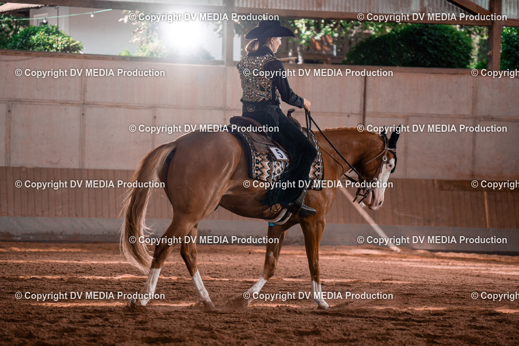 NE100362 | dv-media-shop - Realisiert mit Pictrs.com