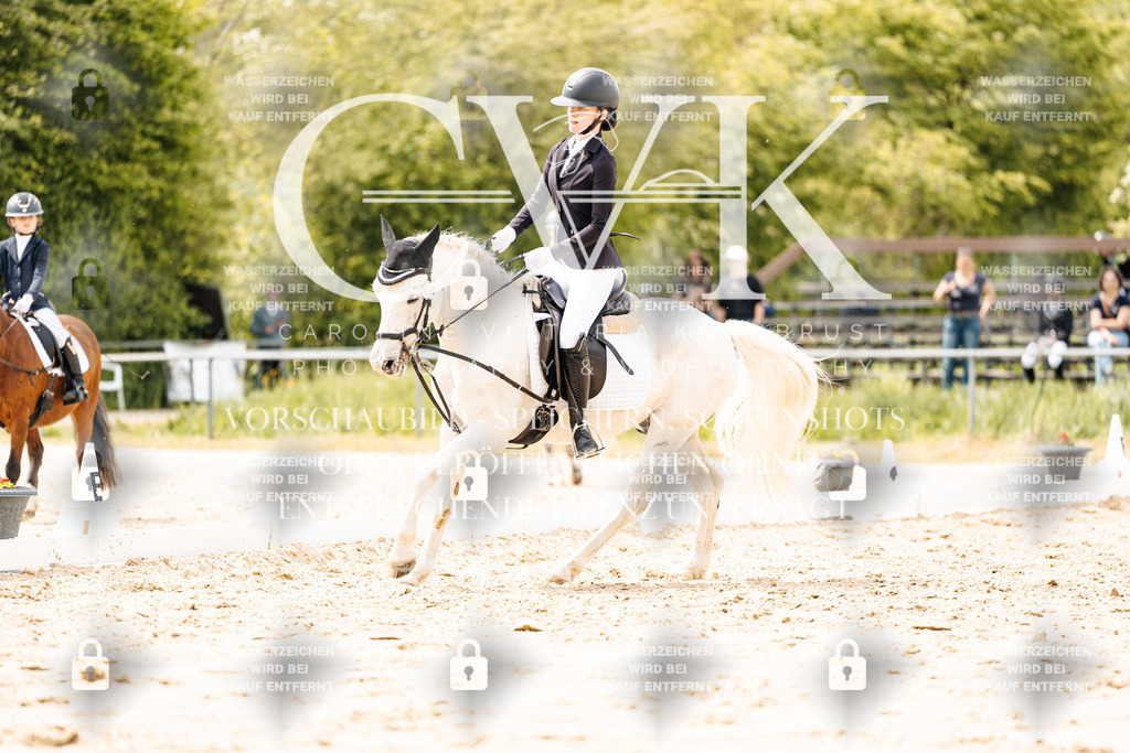 CK902241 | Turnierfotografie Pferdefotografie Trier Rheinland-Pfalz Pferdesport Reitsport Tierfotografie Sportfotografie Pferdevideo Pferdevideografie Equestrianvideography equestrianphotography  - Realisiert mit Pictrs.com