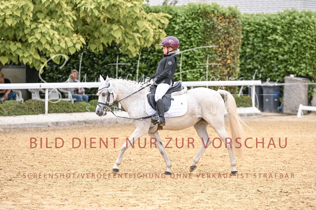 Schugtsche-Aluta25-47.ReiterWB_ST-70 | Schugtsche Fotografie - Realisiert mit Pictrs.com