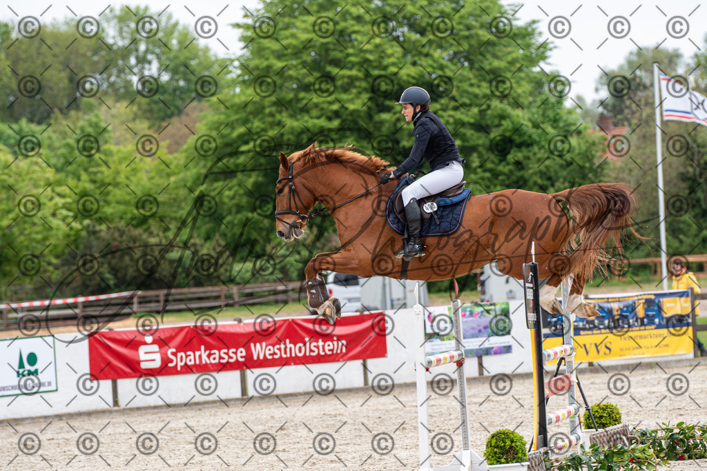 KPT_8435 | andre_photographic