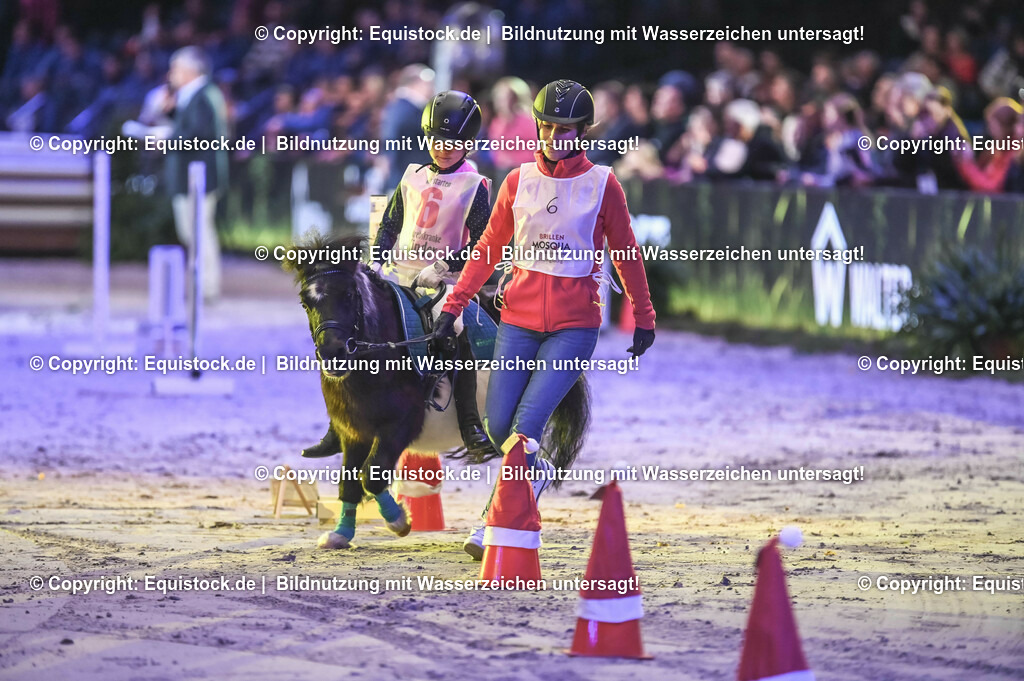 20231115_Dog-Agility_0083_TOMsPiC | Foto: Thomas Hartig
