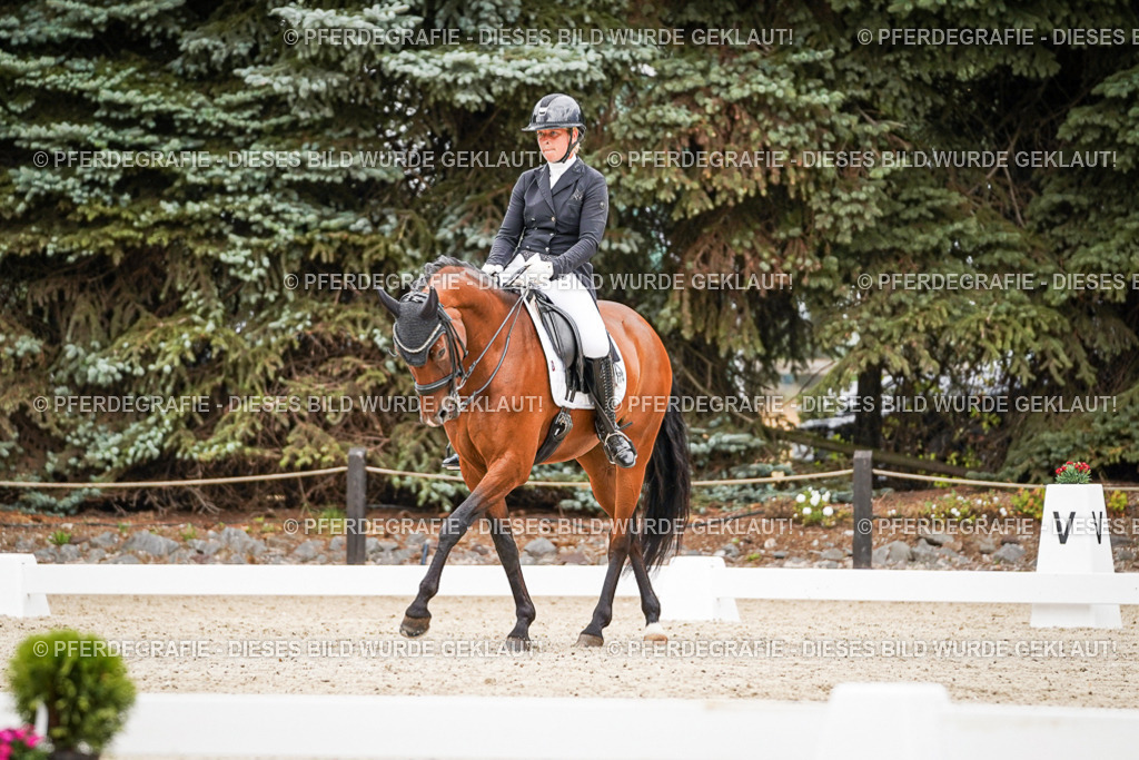 DSC07251 | Pferdegrafie