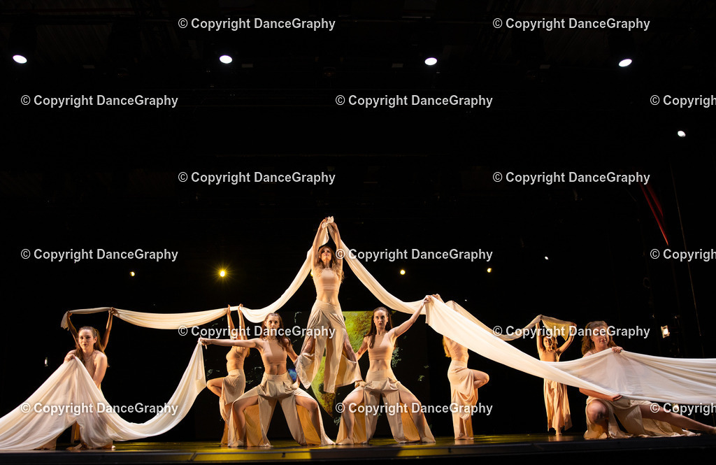 GPHY4196 | DanceGraphy - Realisiert mit Pictrs.com