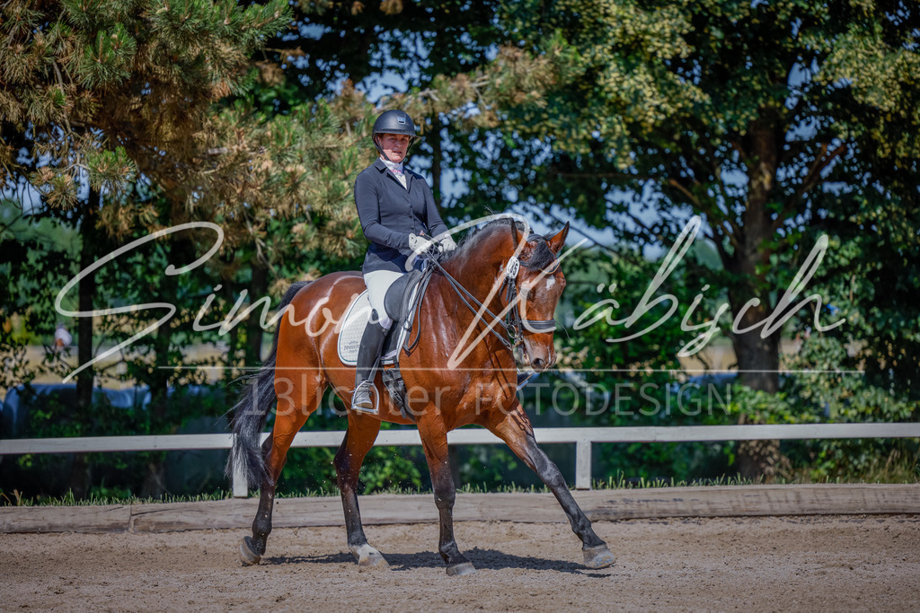 20250621-_3LI9751 | Tierfotografie Pferde, Hunde, Katzen, Haustiere.
Turnierfotografie Reitturniere, Reiten, Springreiten, Dressur in Hanau, dem Main-Kinzig-Kreis und dem Rhein-Main- Gebiet um Frankfurt