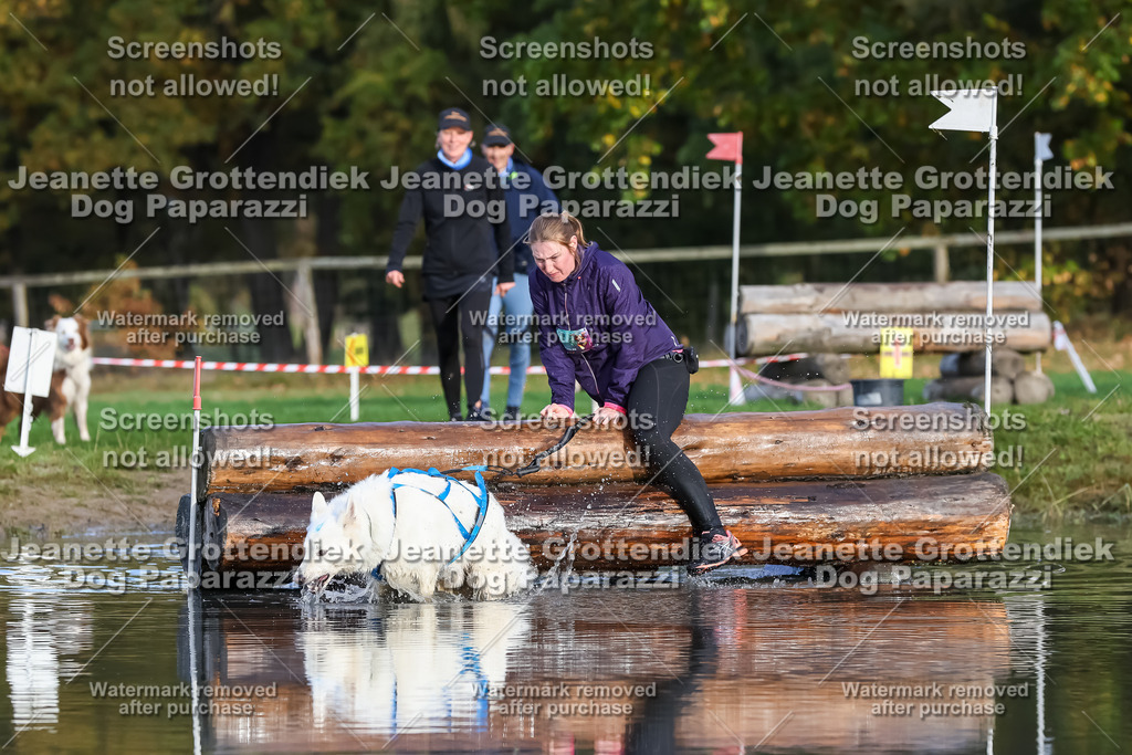 Dog Paparazzi - Strongdog 10-25-7035 | Dog Paparazzi Jeanette Grottendiek Fotografie & Videografie - Realisiert mit Pictrs.com