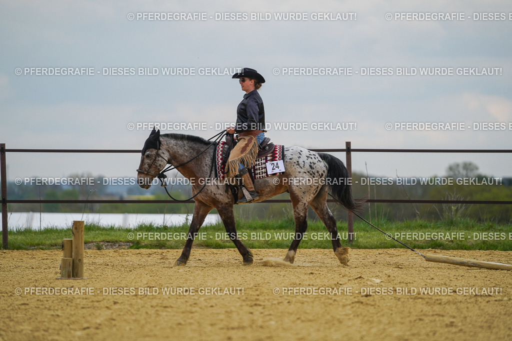 DSC07632 | Pferdegrafie