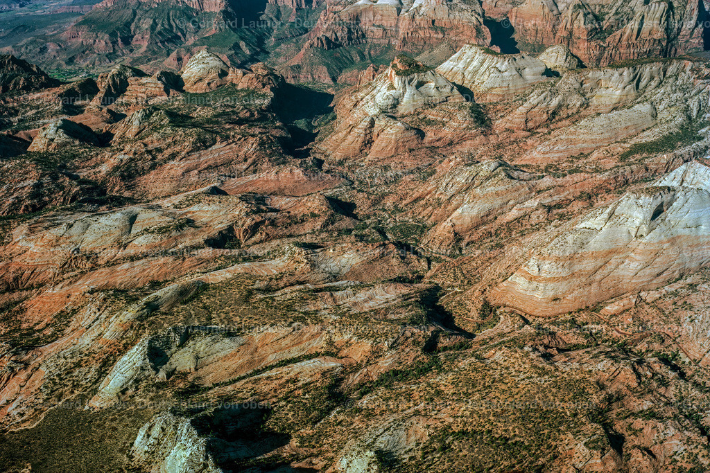 USA5647 | Zion National Park, Utah, USA