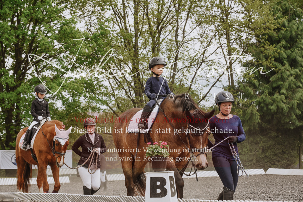 20230514_JK-Röhrsdorf-25-283 | Pferde- und Turnierfotografie in Westsachsen. Pferdeportraits, Auftragszeichnungen und intuitive Kunst.