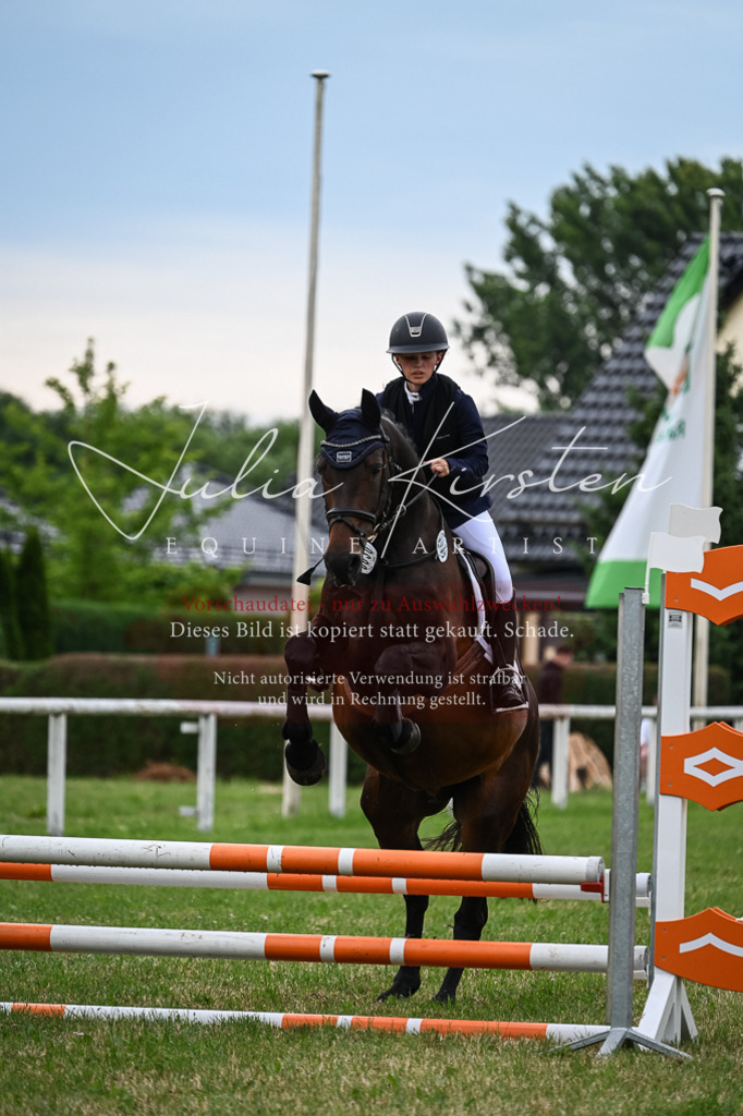 DSC_8563 | Pferde- und Turnierfotografie in Westsachsen. Pferdeportraits, Auftragszeichnungen und intuitive Kunst.