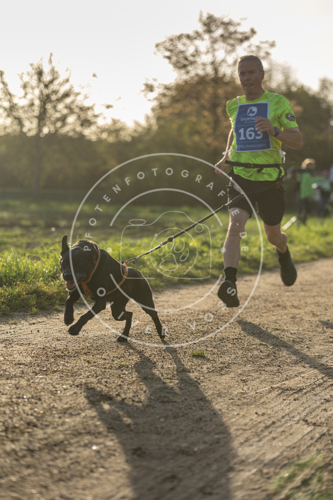 Pfotenfotografie.de_DV3A2678 | Hundefotografie, Tierfotograf, Pfotenfotografie, Fotoshooting Hund, Hunde Portrait, Hundesport, Hundeportraits, Heideshooting, Hunde, Sportfotograf, Hundefotograf, Turnierhundsport, THS, canicross - Realisiert mit Pictrs.com
