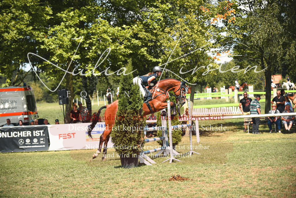 DSC_6482 | Pferde- und Turnierfotografie in Westsachsen. Pferdeportraits, Auftragszeichnungen und intuitive Kunst.