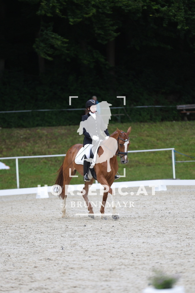 0P6A3635 | Willkommen bei Brunnmayr - Design & Fotografie – Ihrem Spezialisten für Reitturniere und Pferdeveranstaltungen in Oberösterreich, Salzburg und Bayern! Seit über 17 Jahren sind wir leidenschaftlich dabei.