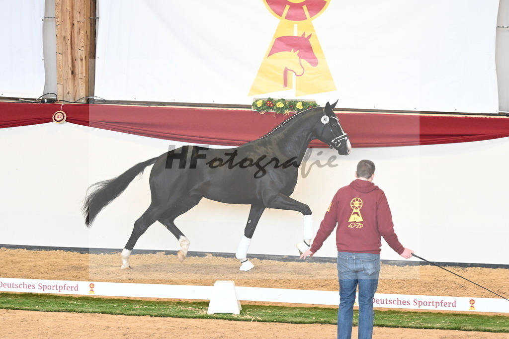 Kat.-Nr. 70 v. Totilas_Fischer_2241046 | hf-fotografie - Realisiert mit Pictrs.com