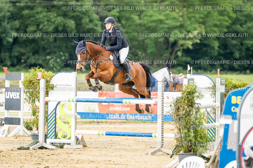 DSC06580 | Pferdegrafie