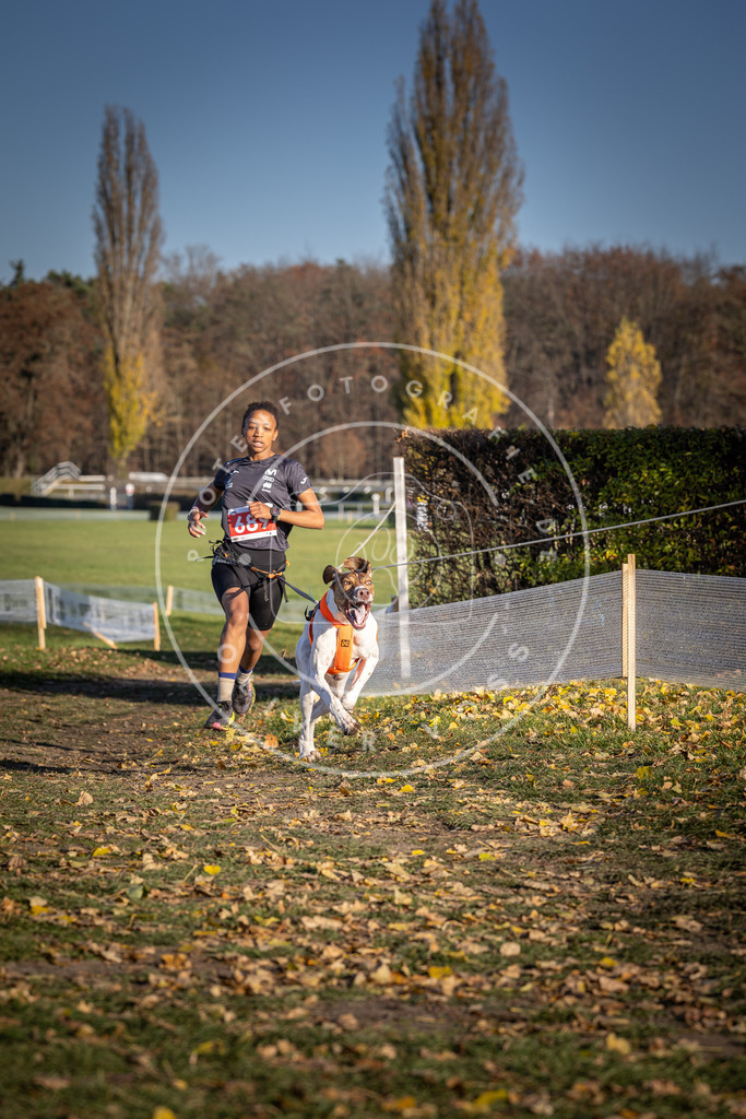CaniXpix_DV3A1243 | Hundefotografie, Tierfotograf, Pfotenfotografie, Fotoshooting Hund, Hunde Portrait, Hundesport, Hundeportraits, Heideshooting, Hunde, Sportfotograf, Hundefotograf, Turnierhundsport, THS,  - Realisiert mit Pictrs.com