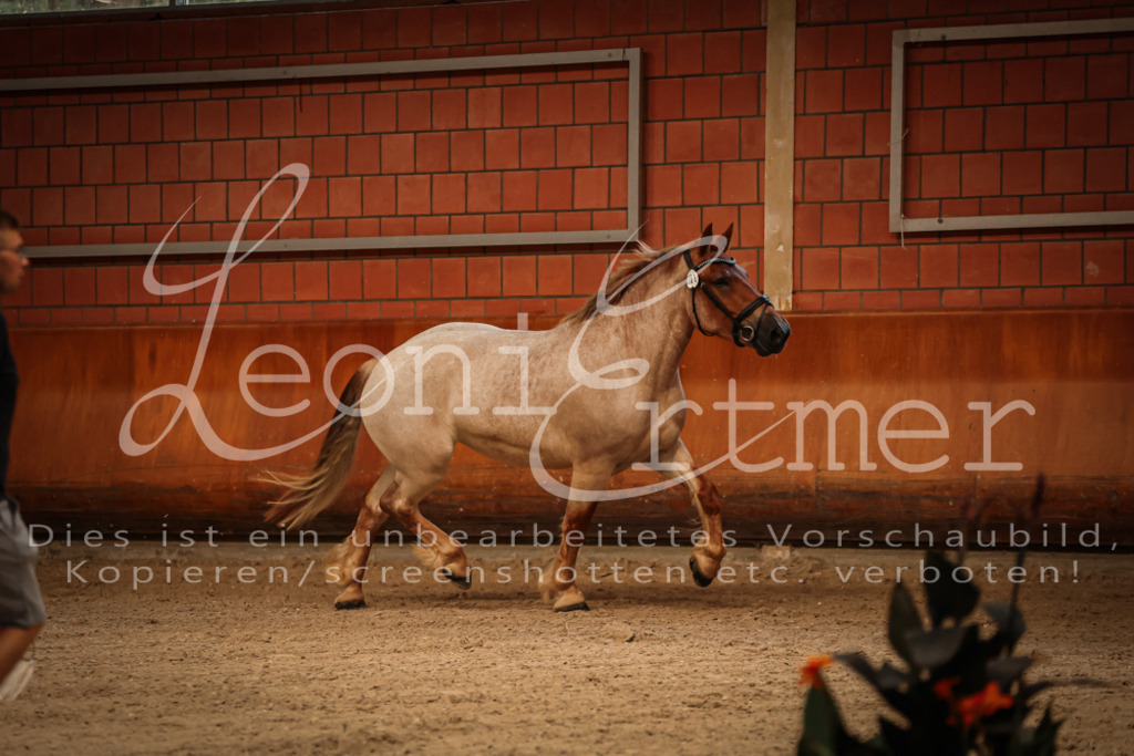 SaFL00071 | Leoni Ertmer Photography - Realisiert mit Pictrs.com