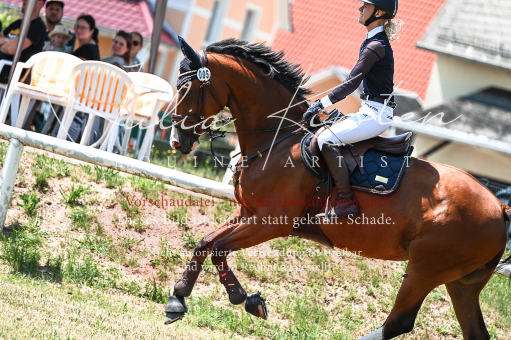DSC_0175 | Pferde- und Turnierfotografie in Westsachsen. Pferdeportraits, Auftragszeichnungen und intuitive Kunst.