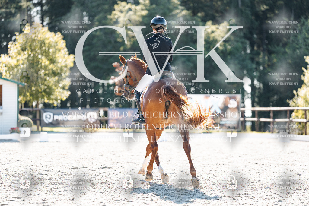 CK906027 | Turnierfotografie Pferdefotografie Trier Rheinland-Pfalz Pferdesport Reitsport Tierfotografie Sportfotografie Pferdevideo Pferdevideografie Equestrianvideography equestrianphotography  - Realisiert mit Pictrs.com