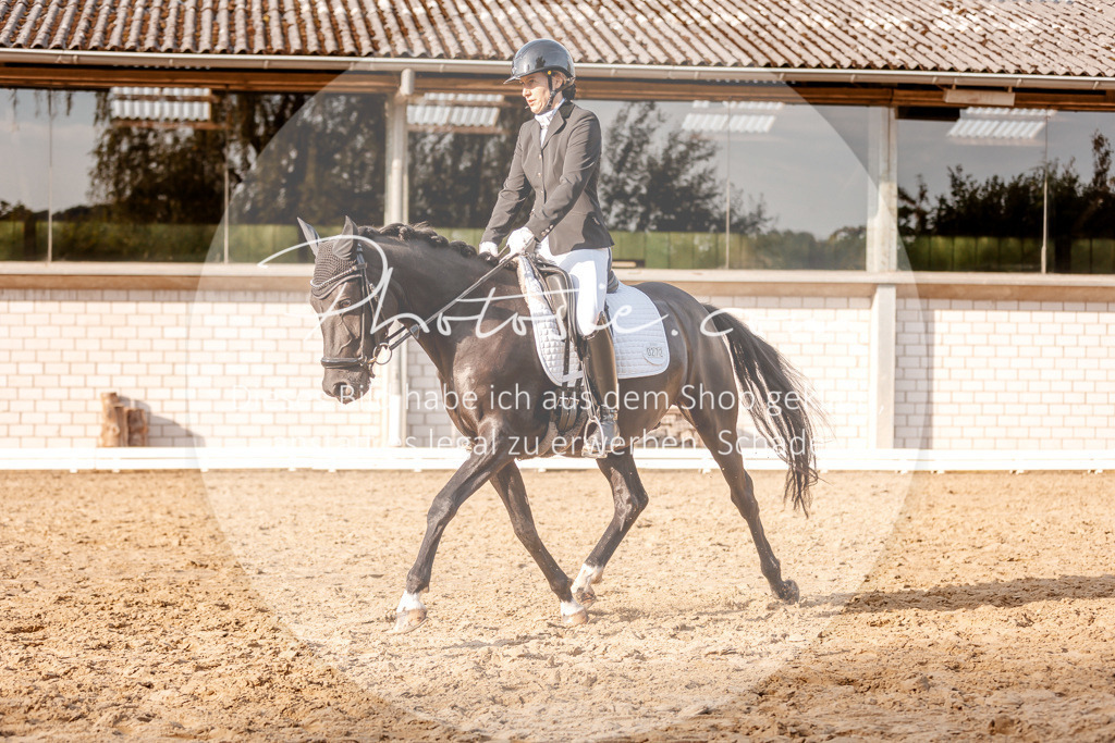 3I6A2582 | Stimmungsvolle Portraits und Reitsportfotografie im Ruhrgebiet und im Münsterland.

Pferdefotografie, Hundefotografie, Tierfotografie, Reportagen, Portraits von Tier und Mensch, Turnierfotografie in Bochum, Recklinghausen, Marl, Haltern am See, Dülmen.. - Realisiert mit Pictrs.com