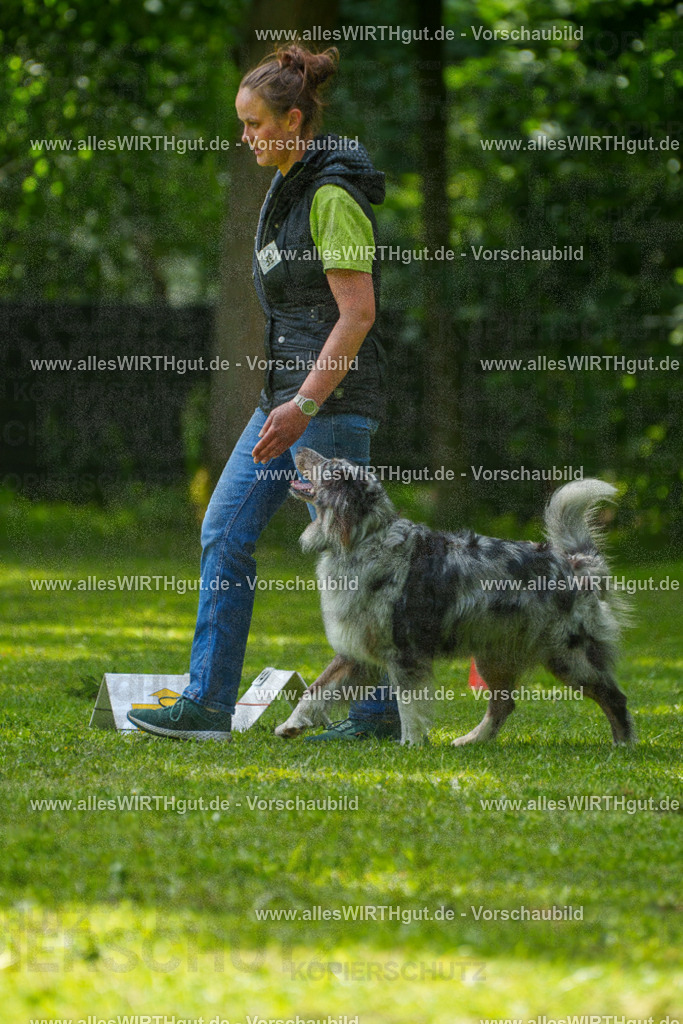 @allesWIRTHgut_Tierfotografie - www.allesWIRTHgut.de - 7R504819 | Professionelle Tierfotografie in Mönchengladbach von Daniel Wirth (allesWIRTHgut). Liebevolle & natürliche Bilder von Hunden & Katzen für unvergessliche Erinnerungen.