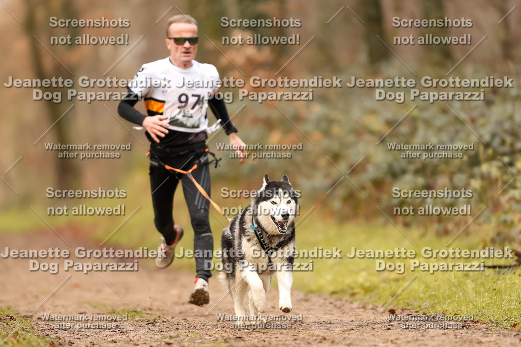 Dog Paparazzi - Speedhunter Mannheim  2025-272 | Dog Paparazzi Jeanette Grottendiek Fotografie & Videografie