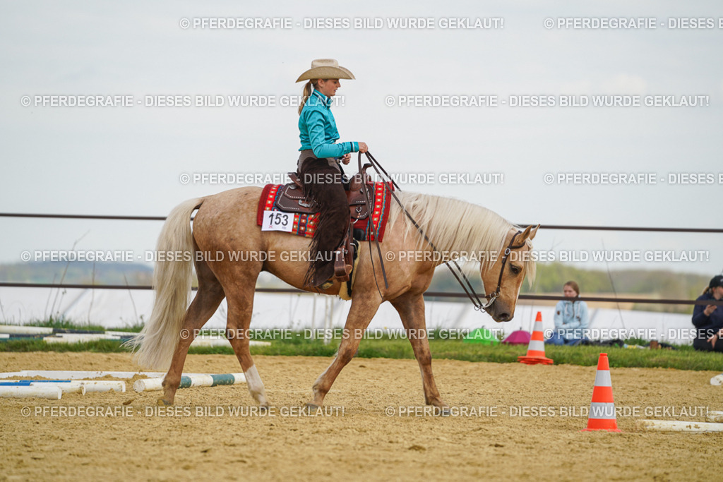 DSC05410 | Pferdegrafie