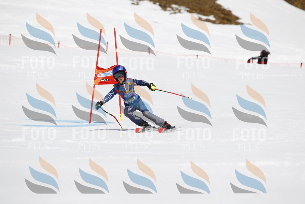 _U3G5491 | holidayphoto