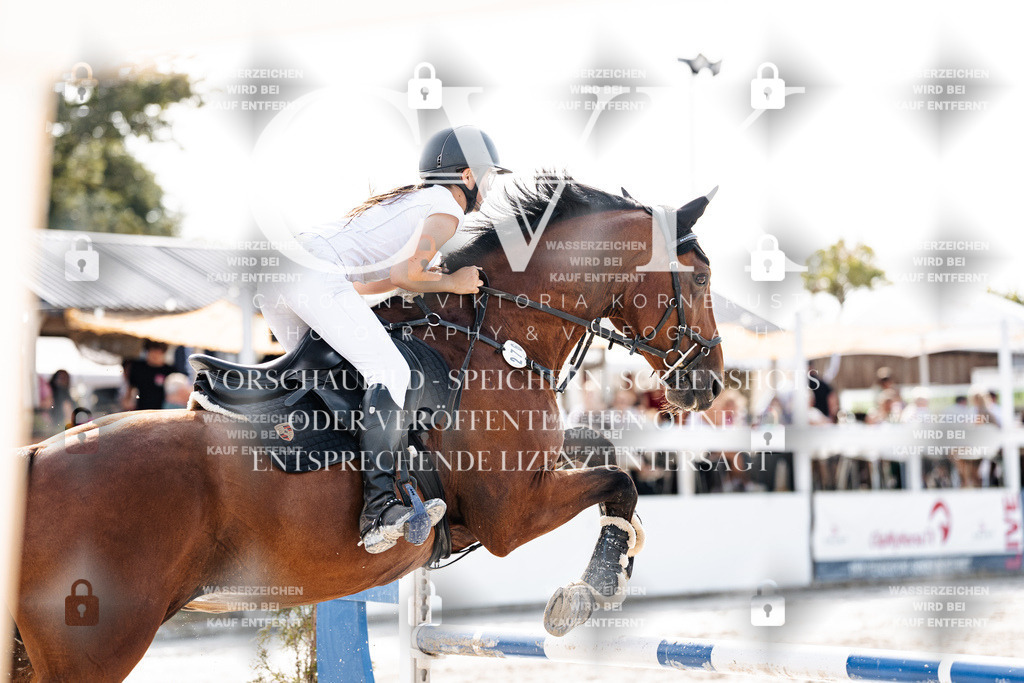 CK905882 | Turnierfotografie Pferdefotografie Trier Rheinland-Pfalz Pferdesport Reitsport Tierfotografie Sportfotografie Pferdevideo Pferdevideografie Equestrianvideography equestrianphotography  - Realisiert mit Pictrs.com