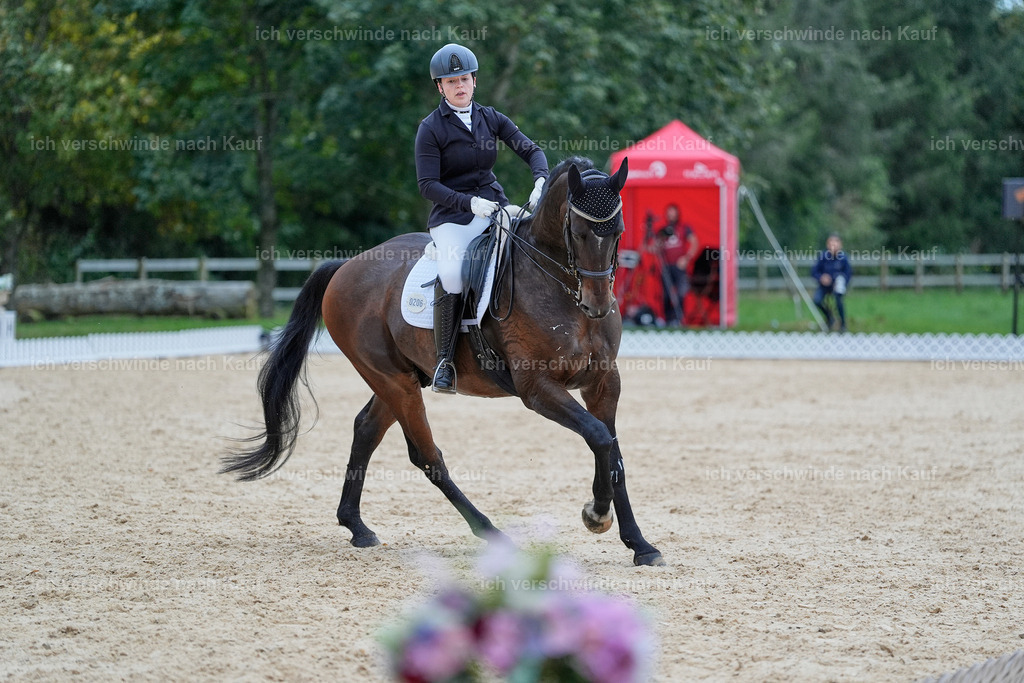 04_2-206-Dressur M__ -StoibPH-2929 | working equitationturnier fotograf videograf stoibphotography marixx film working equitation deutschland reitsport turnierfotografie eventfotografie equestrian events