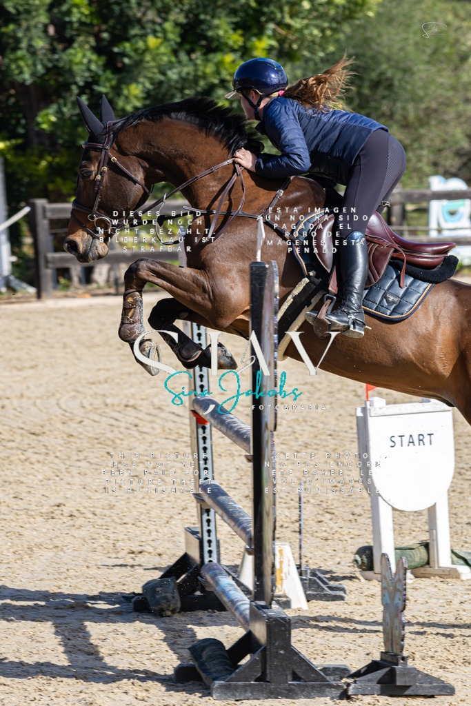 IMG_5344 | s-jay-photography - Realisiert mit Pictrs.com