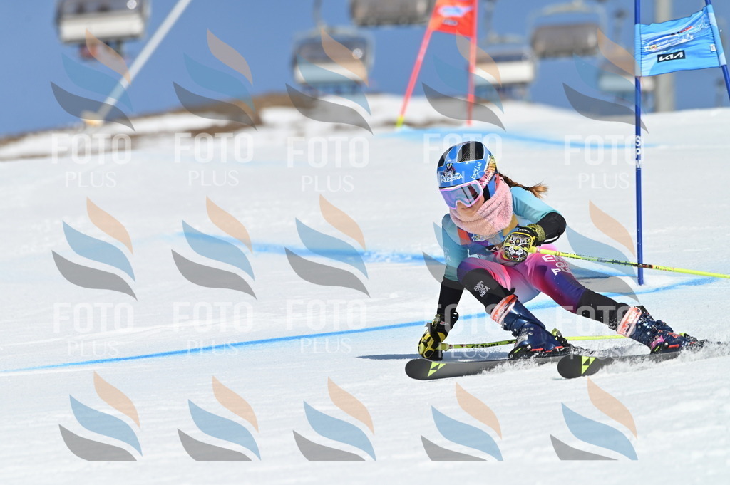 BGV_9019 | holidayphoto