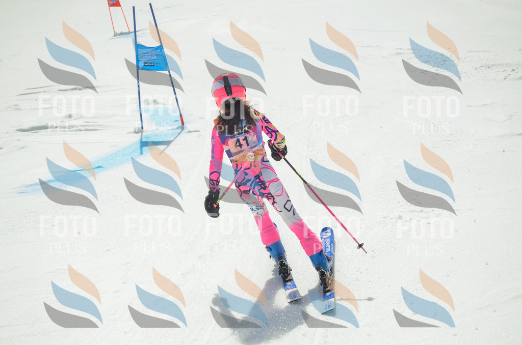 _ELE5049 | holidayphoto