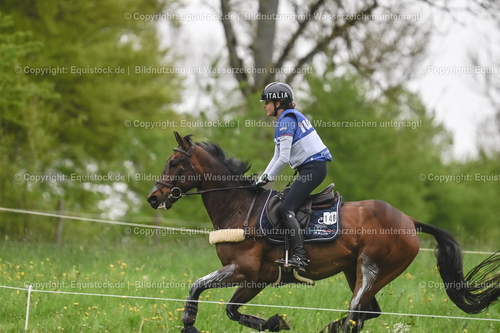 20230513_CCI4_Gelände_0207 | equistock