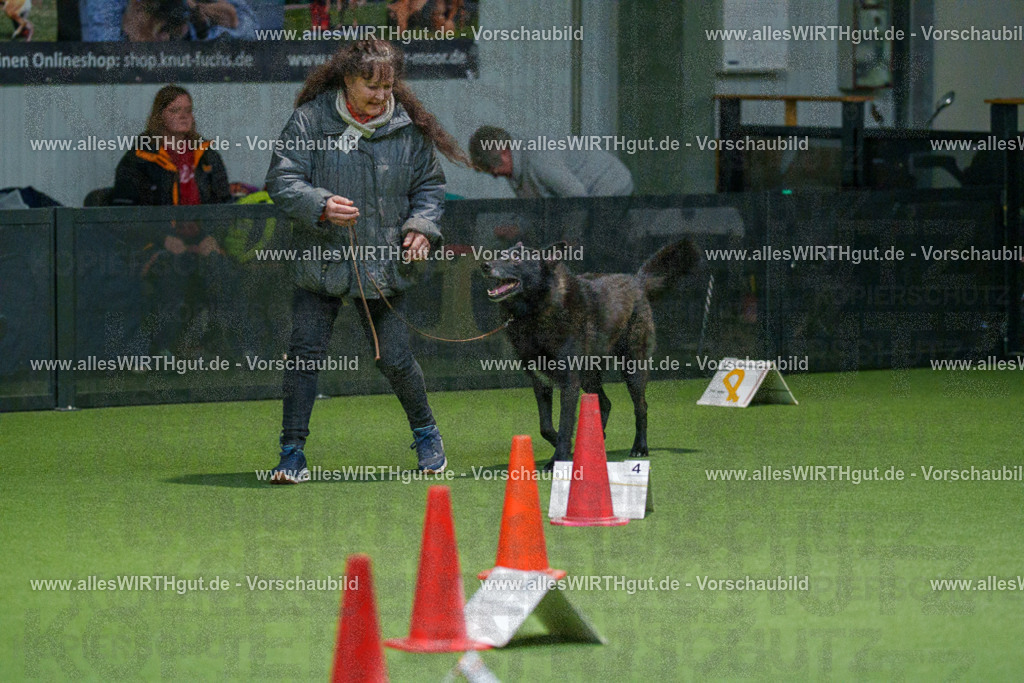 7R504963 | Professionelle Tierfotografie in Mönchengladbach von Daniel Wirth (allesWIRTHgut). Liebevolle & natürliche Bilder von Hunden & Katzen für unvergessliche Erinnerungen.