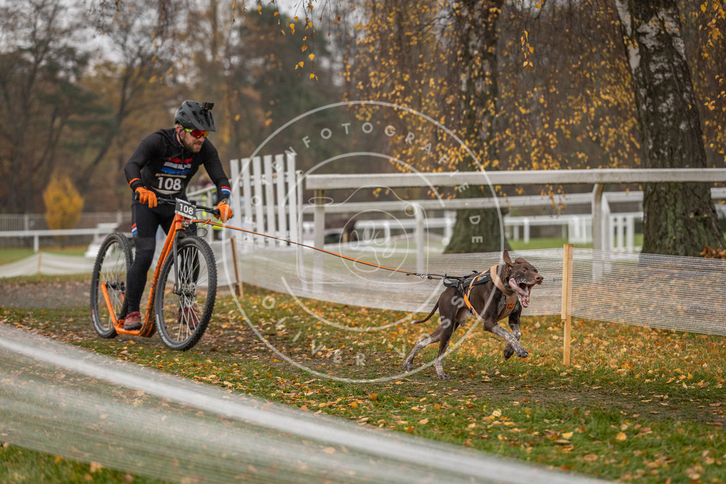 CaniXpix_DV3A8481 | Hundefotografie, Tierfotograf, Pfotenfotografie, Fotoshooting Hund, Hunde Portrait, Hundesport, Hundeportraits, Heideshooting, Hunde, Sportfotograf, Hundefotograf, Turnierhundsport, THS,  - Realisiert mit Pictrs.com