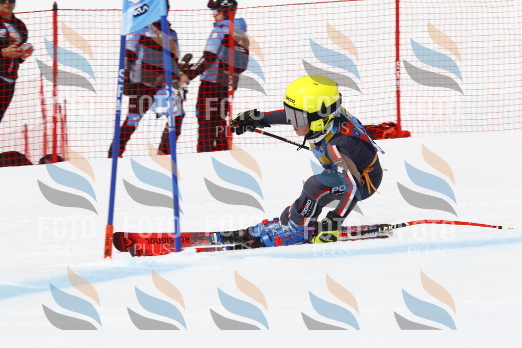 _U3G6305 | holidayphoto