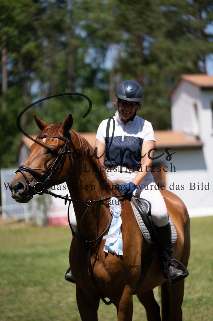 A7V06242 | Pferdefotograf