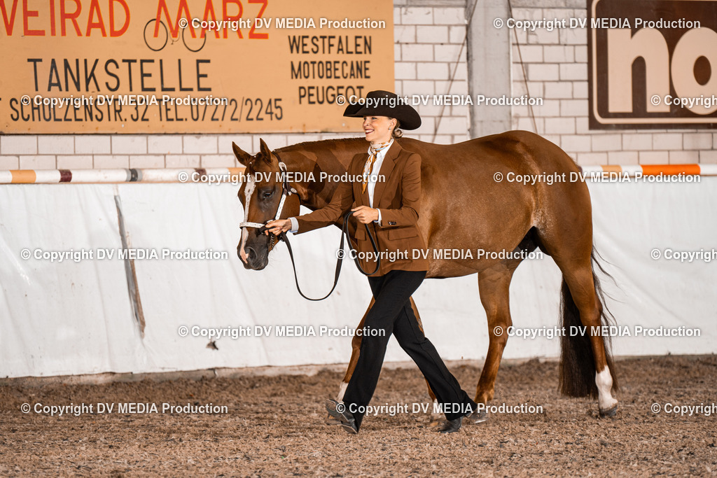 ZH200009 | dv-media-shop - Realisiert mit Pictrs.com