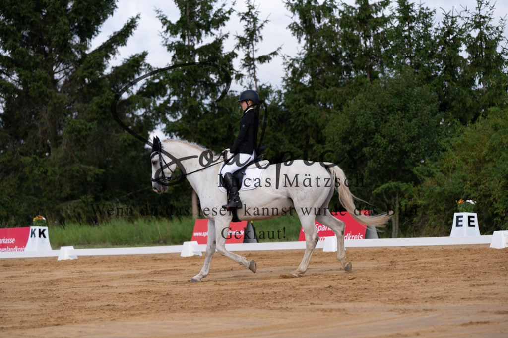 A7V05153 | Pferdefotograf