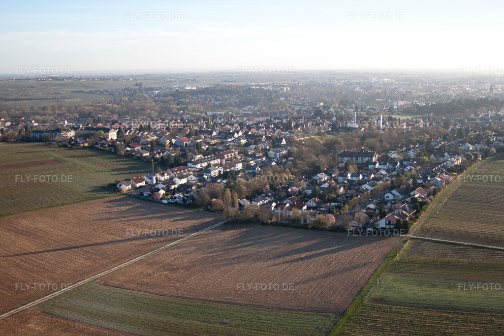 Luftbild: Wiese und Brache zw. Landau W, Wollmesheim und Arzheim in Landau in der Pfalz im Bundesland Rheinland-Pfalz in Deutschland.Foto: IMG_63172.jpg vom 20.03.2014 durch Werner Riehm/FLY-FOTO.deAuflösung des Originals: 4752 x 3168 px