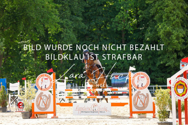 _62_7443 | larahueckfotografie