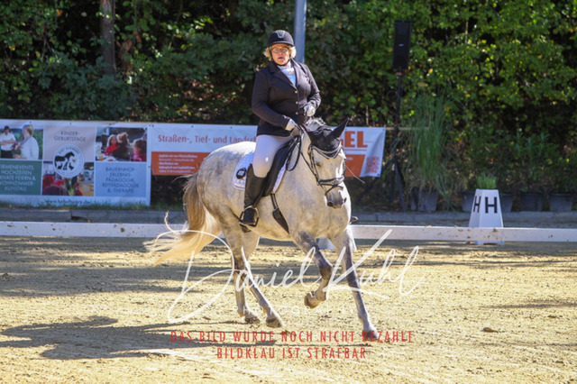 DKP41697 | Turniersportfotografie; Pferdefotografie; Dressurfotografie