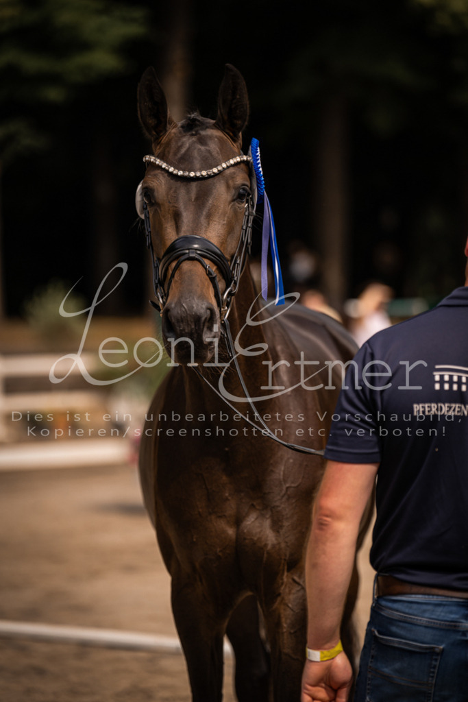 6.Fr00156 | Leoni Ertmer Photography - Realisiert mit Pictrs.com