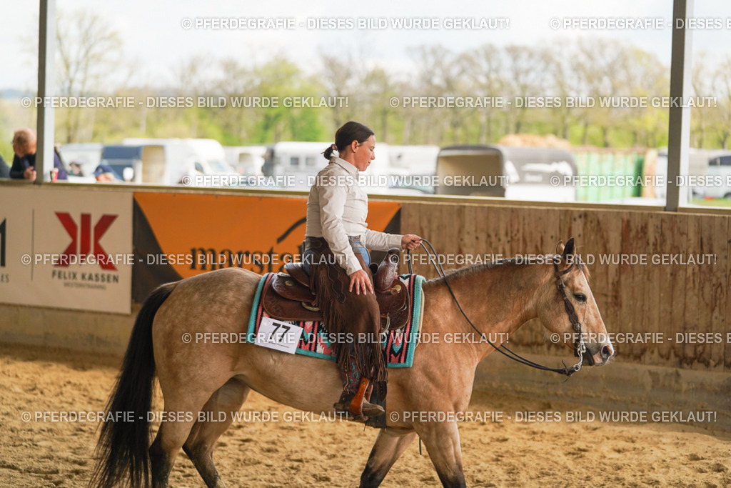 DSC03241 | Pferdegrafie